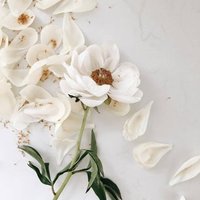 meh (@ringring13478) 's Twitter Profile