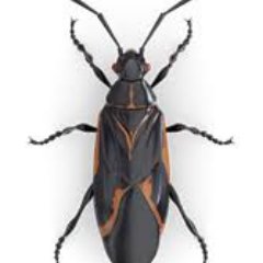 ThatsJustMe989's profile picture. ... Quiet...