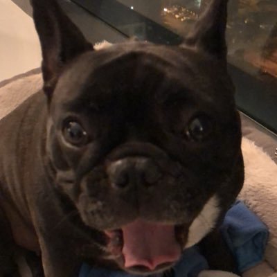 Eonthefastlane's profile picture. 