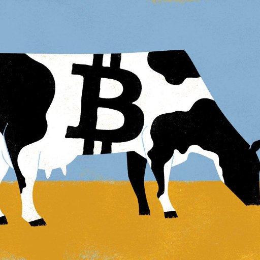 Cryptocow17's profile picture. Derivatives Trader & Consultant in the realm of bitcoin, blockchain, crypto and trading.