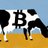 CryptoCow