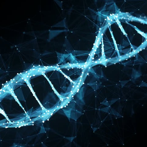 Lab at the Blizard Institute, QMUL, working on gene-environment interactions and their impact on health and disease in humans and other model organisms.