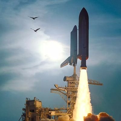 SANJAY01sanjay's profile picture. 