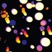 Castaneda Lab (@castaneda_lab) Twitter profile photo Castaneda Lab (@castaneda_lab) Twitter profile photo