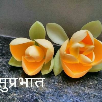 NileshN10255975's profile picture. 