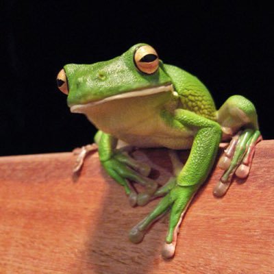 JoWanty's profile picture. 