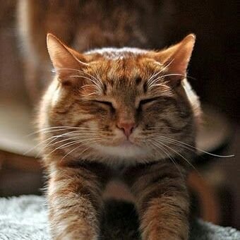 Hiso14107110's profile picture. Just someone with different interests ♣️♦️♠️ это жизнь