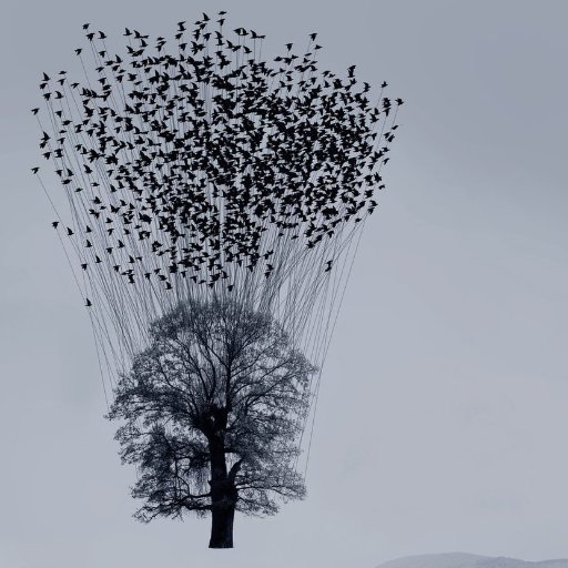wtngfr's profile picture. 