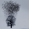 wtngfr's profile picture. 