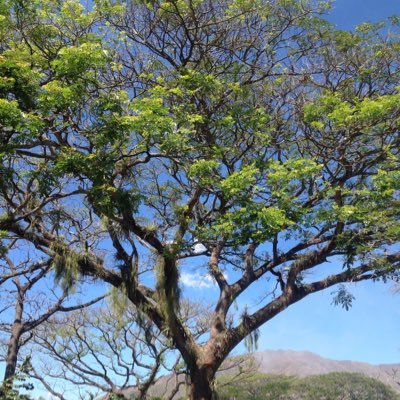 carabobodc's profile picture. ...