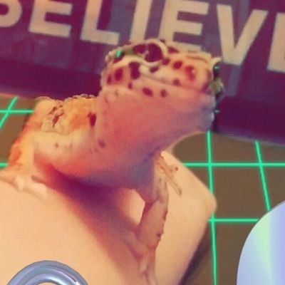 thoughtsofgoje's profile picture. a lizard who thinks sometimes. not all the time.