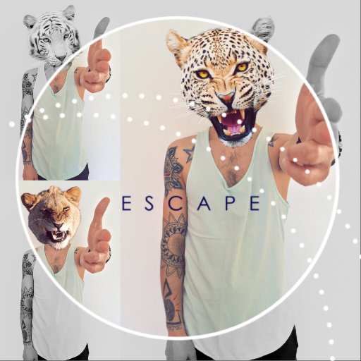 AleksXtreme's profile picture. Hi, I'm Alexander DJ X-Treme .... I am a producer of electronic music, a lot of my music is live performance with Ableton Push AKAI APC 40-AKAI MPK