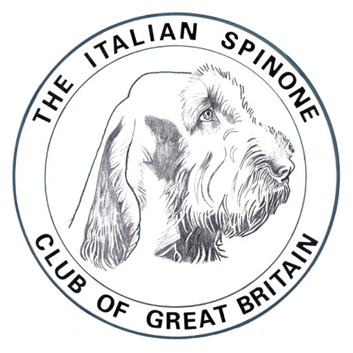 Italian Spinone Club of Great Britain