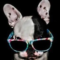 Verónica (@veronikauned) 's Twitter Profile
