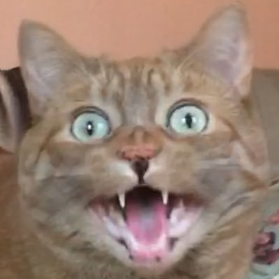 @duggatron