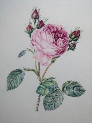 그림과 글씨를 사랑하는 모든 분들과 함께하고 싶습니다^^