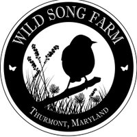 Wild Song Farm(@Wild_Song_Farm) 's Twitter Profile Photo