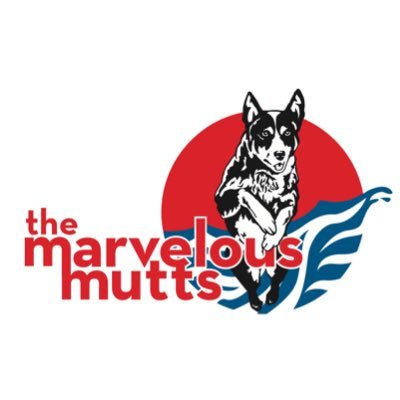 marvelousmutts's profile picture. Follow the most amazing canine entertainment team as they travel all over the country! All our dogs were adopted from shelters or rescues! #RescueDogsRock