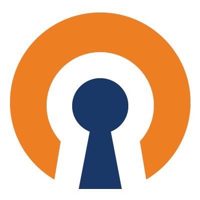 OpenVPN Inc. on Twitter: "The act, @Francis_dinha, CEO of ...