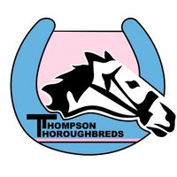 Thompson Thoroughbreds Australia(@TTARacing) 's Twitter Profile Photo