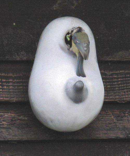 TheTitbox's profile picture. The breast nesting box for small garden birds...