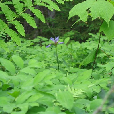 Sarah Estes (@SEstes_18) | Twitter