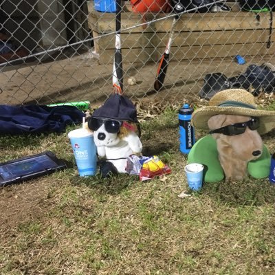 The official @CHS_Greenville Baseball twitter account | Head Coach:@schuette1214 | #rallypuppies