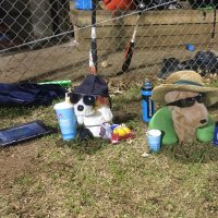 Carolina HS Trojans Baseball (@rallypuppies) 's Twitter Profile