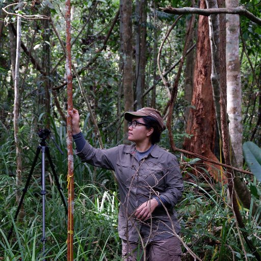 Ecosystem function, tropical peatlands, and climate change
