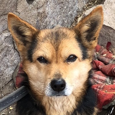 piscesLin's profile picture. 