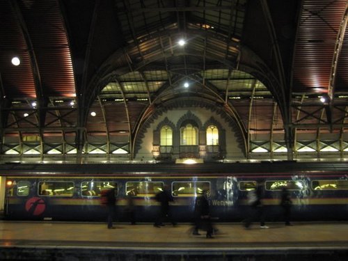 Paddingtonian Profile Picture