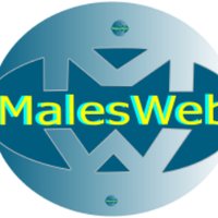 MalesWeb (@malesweb) 's Twitter Profile