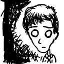 Damien Magee - @scandisnaps - Twitter