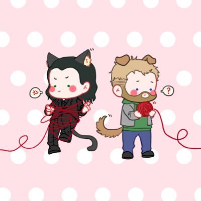星罗⭐️さんのプロフィール画像