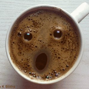 Julianna Avedon Profile