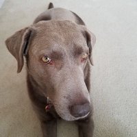Michelle Wright (@mickeygw1) 's Twitter Profile