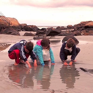 wjschofield3's profile picture. Father. Husband. Son. Brother. Banker. UMass/SNHU Alum. Hockey Nut. Shredder.