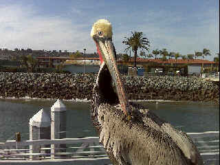 Dilusional_39's profile picture. 