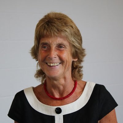 Prof. Chris Pascal OBE, PhD, MSocSc. Director @_CREC | President @eecera | Co-founder @BECERAssoc | VP @earlyed_uk | Patron @LEYFonline | Expert @EYNpartnership