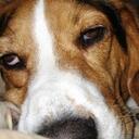 Mark Gardner - @stunnroc2 - Twitter