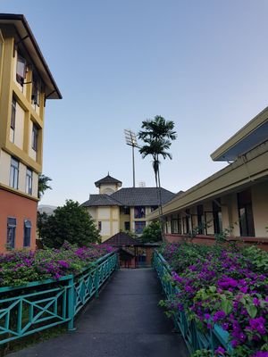 Amen15409792's profile picture. 160