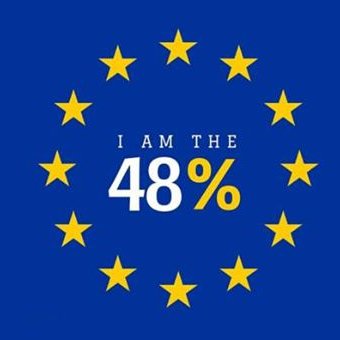 Middle aged woman who used to have a life and never thought she'd have to spend her evenings on Twitter trying to fight Brexit madness.