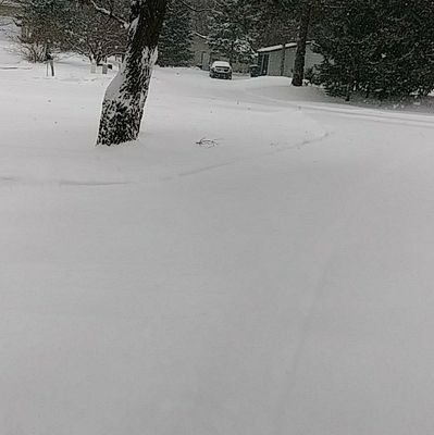 JoyceJo84507481's profile picture. USAF Veteran
Mom Grandma  #ITrustTheFBI
#Democrat #Resist Firm believer in Equality For All #BlueWave2018 No Lists