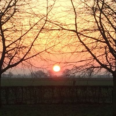 Atilos_5's profile picture. Important for me, so not important for you 💪