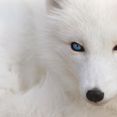 OPRsCsob9Pa0eXe's profile picture. お話しよ