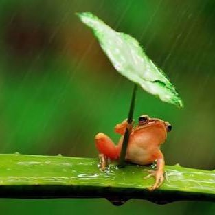 kabu_0007's profile picture. 自分が食べたもの買ったものでおすすめのものをつぶやいていきます。