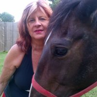 Judy Dillander (@dillanderstable) 's Twitter Profile
