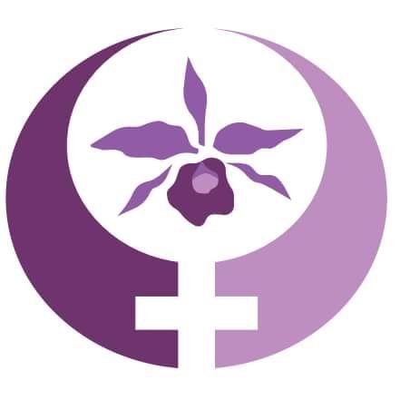 Conselho Estadual dos Direitos da Mulher de Santa Catarina (CEDIM/SC)