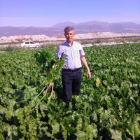 Hasan Kıroğlu (@hkiroglu) Twitter profile photo