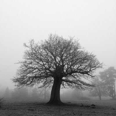 markwwatt's profile picture. 